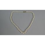 A Pearl Necklace with 9ct Gold Clasp, 42cm Long