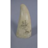 A Sperm Whale Tooth Scrimshaw Inscribed with Two Masted Whaling Ship and Whale, 8cm High