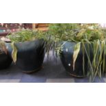 A Pair of Blue Circular Plastic Patio Planters, 46cm Diameter