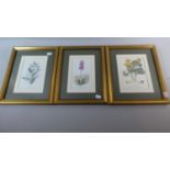Three Gilt Framed Botanic Prints