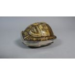 A Good Quality Novelty 19th Century Silver and Agate Mounted Snuff Box in the Form of a Turtle