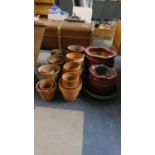 A Collection of Various Terracotta and Other Plant Pots