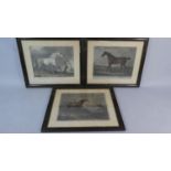 A Collection of Three Early 19th Century Framed Coloured Engravings of Racehorses by John Wessell "