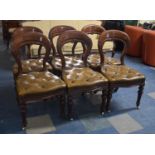 A Set of Six Late Victorian Mahogany Framed Balloon Back Dining Chairs with Buttoned Leather Seats