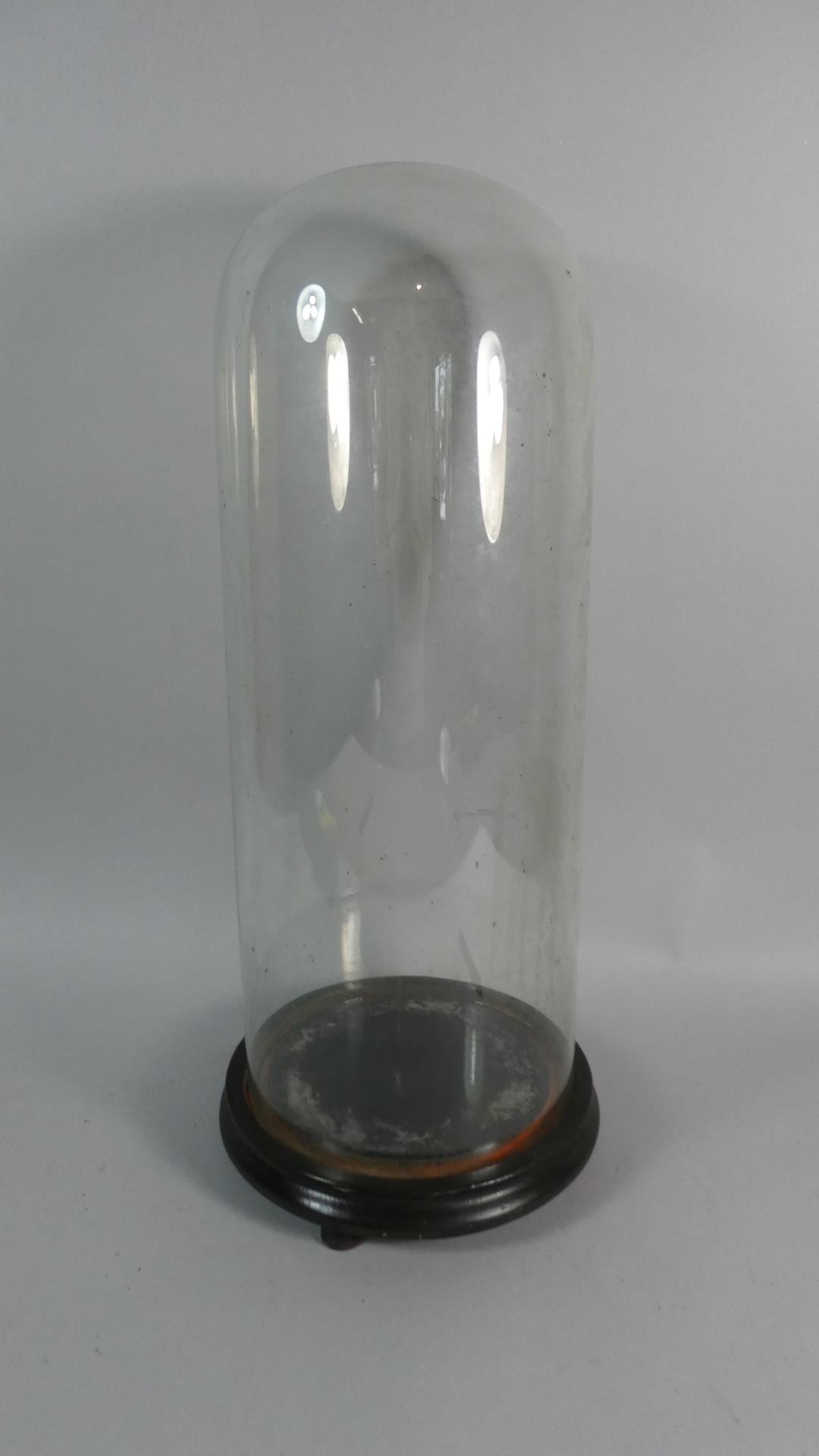 A Large 19th Century Glass Taxidermy Dome on a Turned Wooden Base. Internal Height 47.5cm x 18.