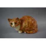 A Winstanley Cat with Glass Eyes. Signed and Numbered 5 to Base, 28cm Long