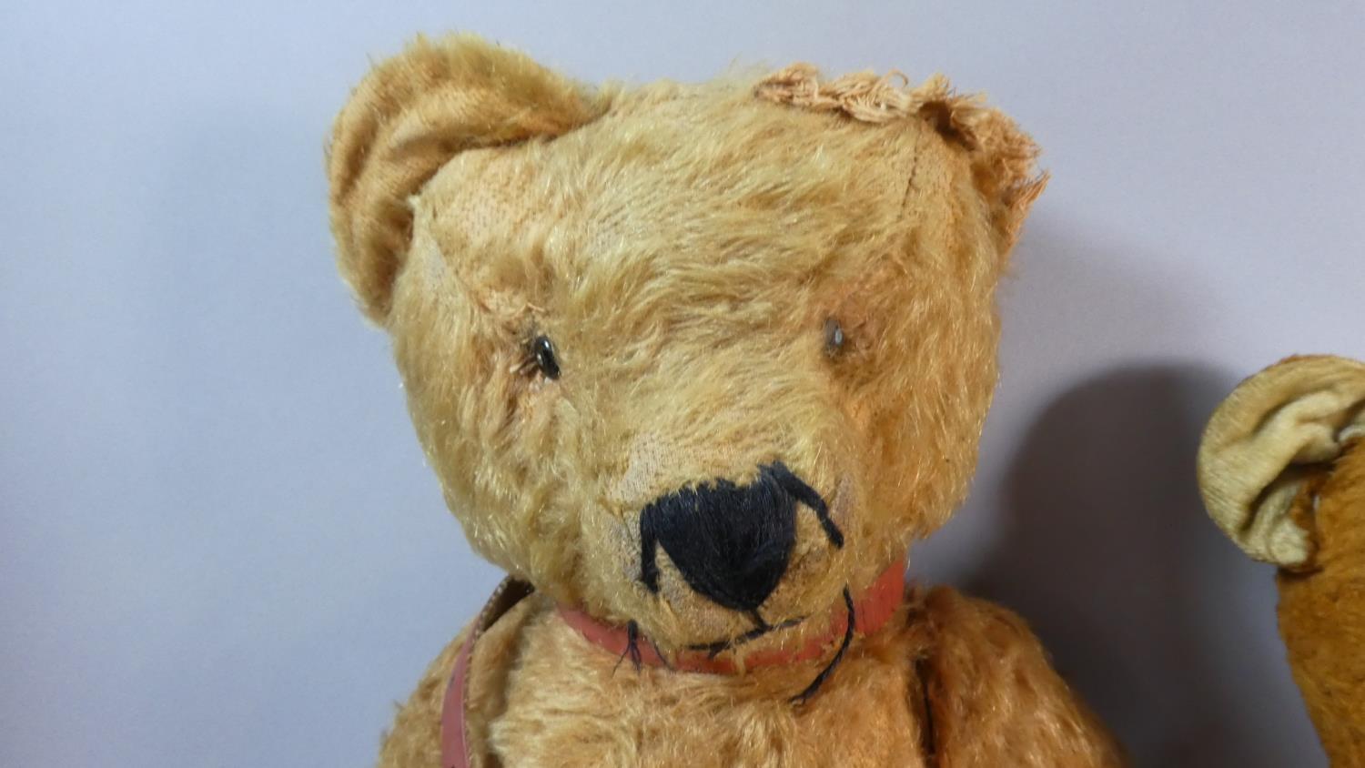 Two Vintage Teddy Bears. The Larger Mohair with Button Eyes, 54cms High and a Smaller Example with - Image 3 of 4