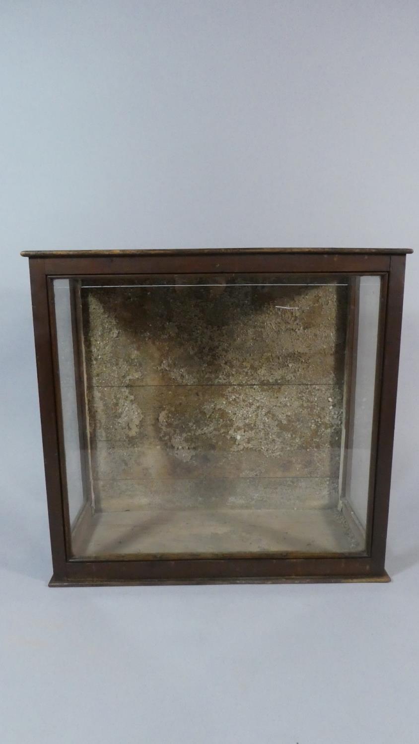 A 19th Century Varnished Pine Taxidermy Cabinet with Glazed Sides and Front. 78x76x36cms