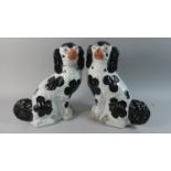 A Pair of Early 20th Century Black and White Staffordshire Spaniels, 32cm high