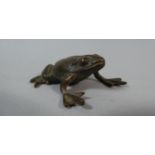 A Small Bronze Study of a Frog, 4cm wide x 2cm High