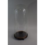 A Large 19th Century Glass Taxidermy Dome on a Turned Wooden Base, Internal Height 50cms by 21cms