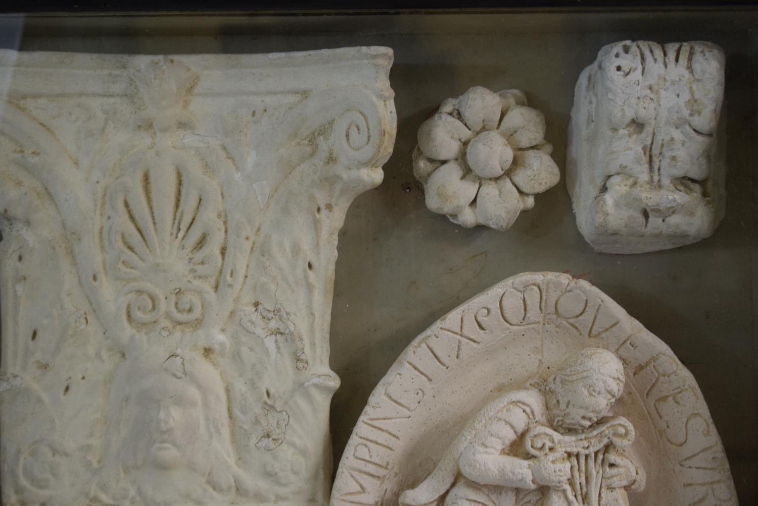 A Collection of 19th Century Plaster Cast Architectural Elements in an Ebonised Wood Glazed - Image 3 of 4