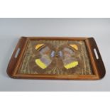 A Brazilian Mahogany Tray with a Glass Panel Displaying Butterfly Wing Decoration, 50cm x 35cm