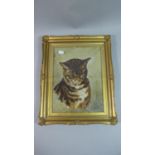 A Gilt Framed Oil on Board of a Cat Signed C H Clavering, 30cm x 22cm