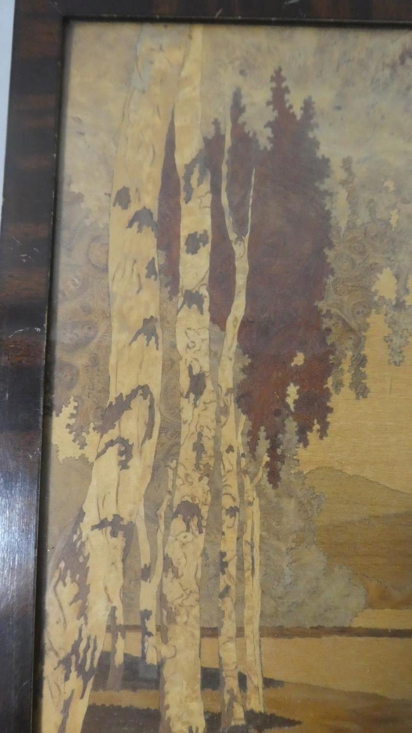A Mid 20th Century Framed Continental Marquetry Panel Depicting Silver Birches, Signed Verso - Image 2 of 4