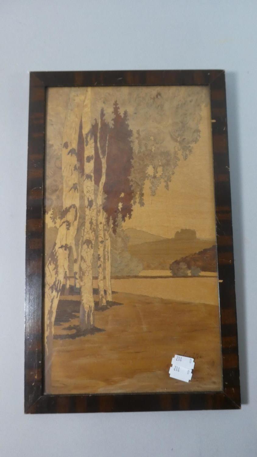A Mid 20th Century Framed Continental Marquetry Panel Depicting Silver Birches, Signed Verso