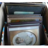 A Box Containing Collection of Small Prints Depicting Victorian Royal Family