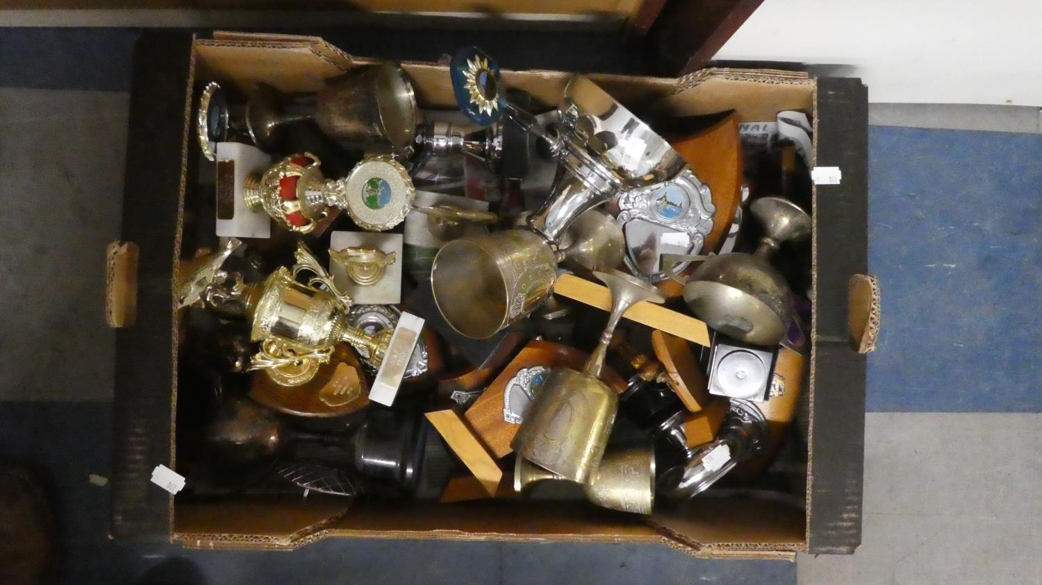 A Box of Sporting Trophies