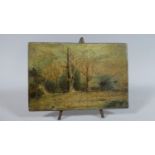 A 19th Century Miniature Oil on Board Depicting Forest Scene, Inscribed to Base but Illegible, 12.