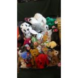 A Box of Ty Beanie Babies, Small and Large to Include Dotty, Erin, Osito, Cheeks Etc