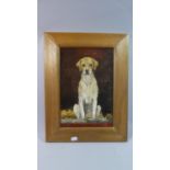 A Framed Oil on Canvas Depicting Seated Fox Hound Signed Tom Nutbeem, 30cm High