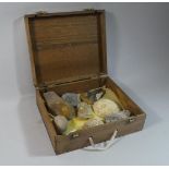 A Cased Collection of Fossils and Minerals