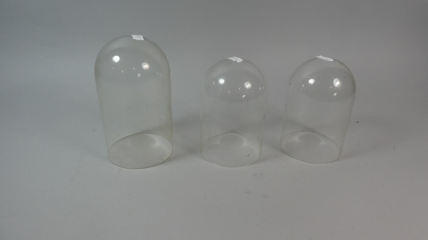A Collection of Three Glass Domes, 18.5cm and 15.5cm