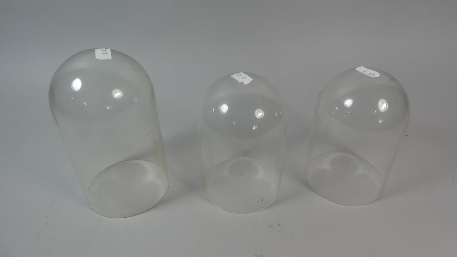 A Collection of Three Glass Domes, 18.5cm and 15.5cm - Image 2 of 2