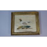 An Early 19th Century Silk Embroidery of an Exotic Bird in Gilt Frame, Worn, 20cm Wide