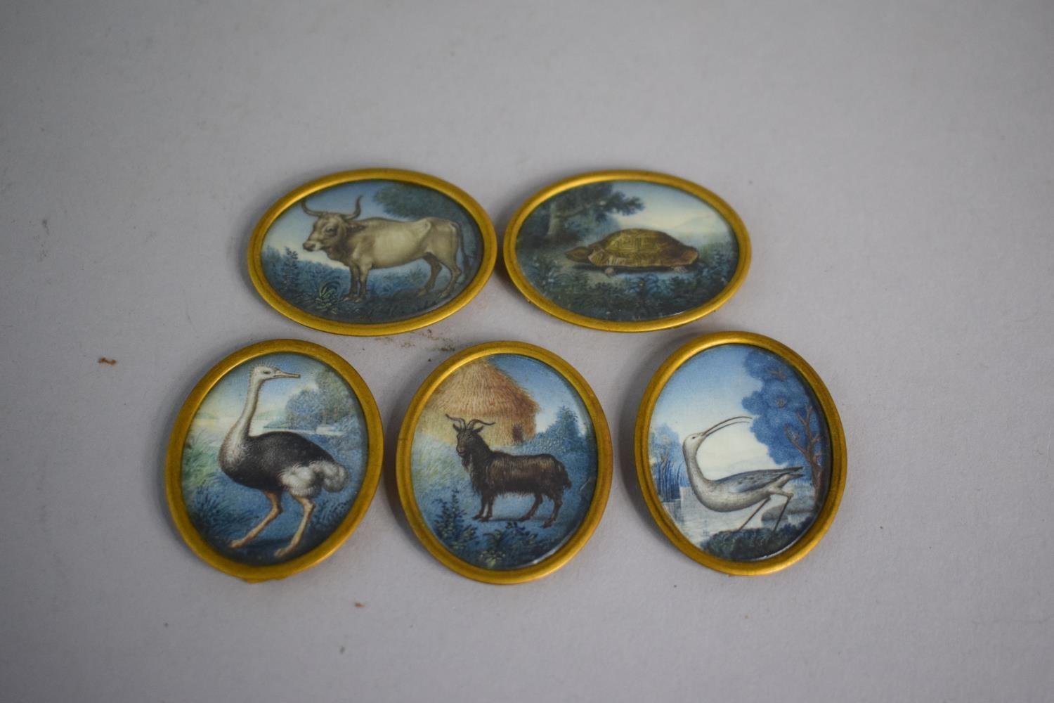 A Set of Five Gilt Framed Late 19th/Early 20th Century Ivory Oval Miniatures depicting Ostrich,