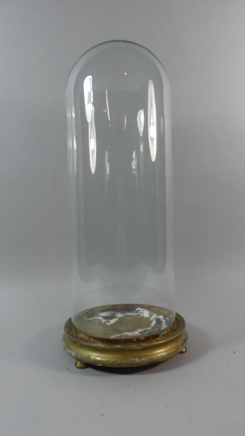 A 19th Century Glass Taxidermy Dome Supported on a Gilded Wooden Base, 50cm High