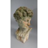 A Weathered Terracotta Bust of Michelangelo's David , 50cm High