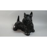 A Large Black Glazed Study of a Scottie Dog, 28cm Wide