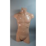 A Male Torso Mannequin, 81cm high