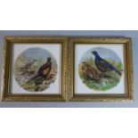 Two Gilt Framed Tiles Depicting Sporting Birds, 14cm Square