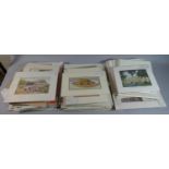 A Box Containing Various Mounted but Unframed Prints
