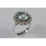 A 14ct White Gold Aquamarine and Diamond Cluster Ring