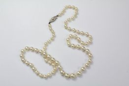 A Set of Graduated Cultured Pearls