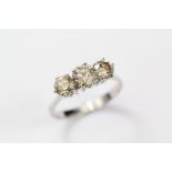 An 18ct White Gold Three Stone Diamond Ring