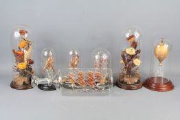 A Collection of Decorative Glass Domes