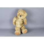 An Antique Charlie Bears Teddy Bear