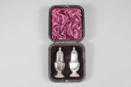 A Pair of Silver Condiments