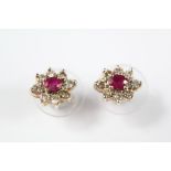 A Pair of Lady's 14ct Yellow Gold and Ruby Earrings