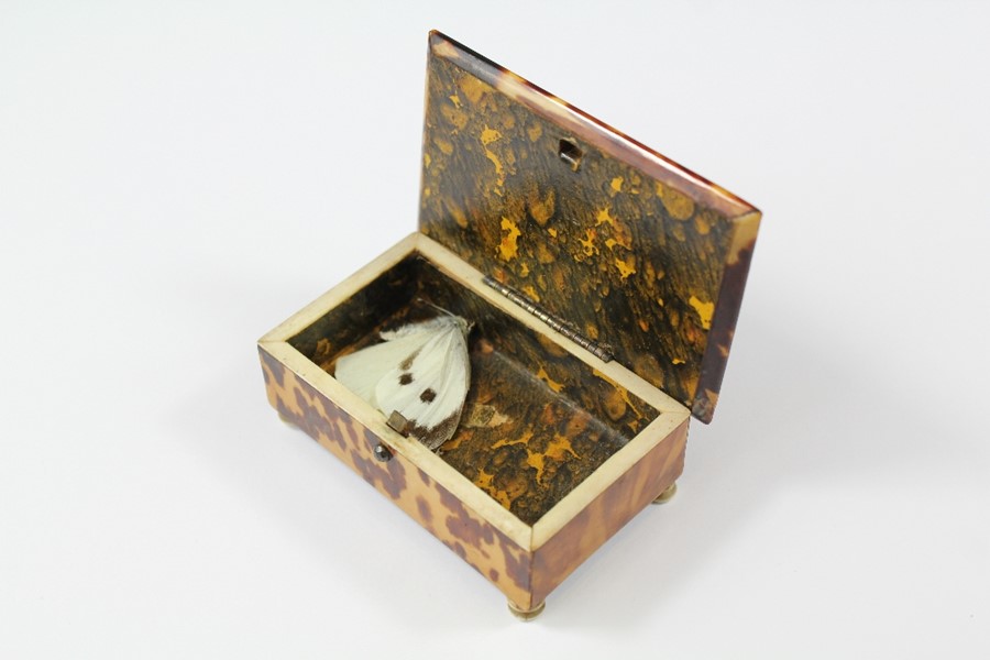 A Victorian Tortoiseshell and Mother of Pearl Trinket Box - Image 3 of 3