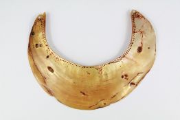 An Antique Wahgi Valley Papua New Guinea Kina Shell Collar