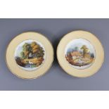 A Pair of 19th Century Cabinet Plates