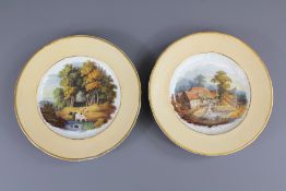 A Pair of 19th Century Cabinet Plates