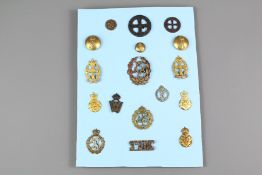 A Collection of Military Insignia