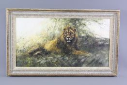 Tony Forrest Wildlife Artist - Original Oil Painting 'Lion'
