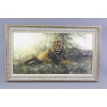 Tony Forrest Wildlife Artist - Original Oil Painting 'Lion'